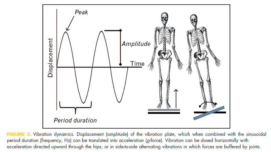 Whole Body Vibration (WBV) Therapy